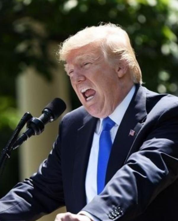 特朗普说了实话，二战胜利跟法国没什么关系，法国是最先投降的，我是真搞不懂，一个在