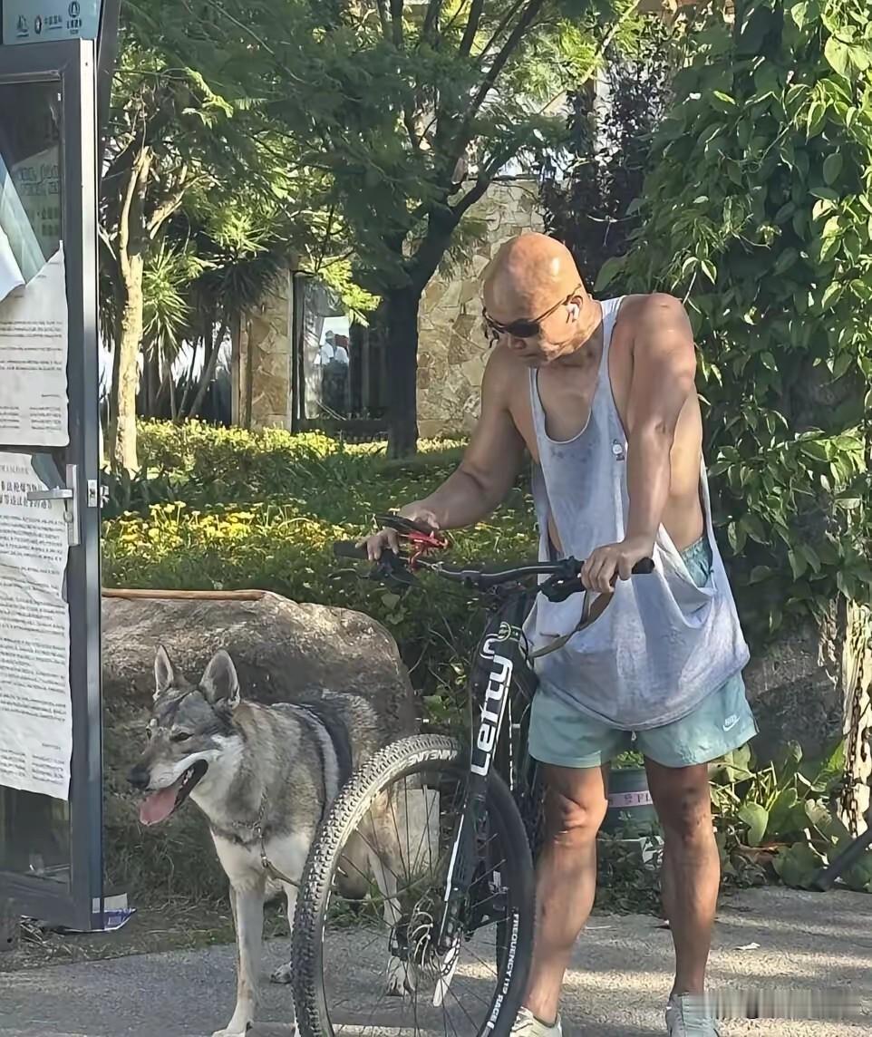 你敢信，这是51岁的乐嘉吗？昔日的综艺红人，如今身穿老头衫，手牵狼犬逛市集，看来