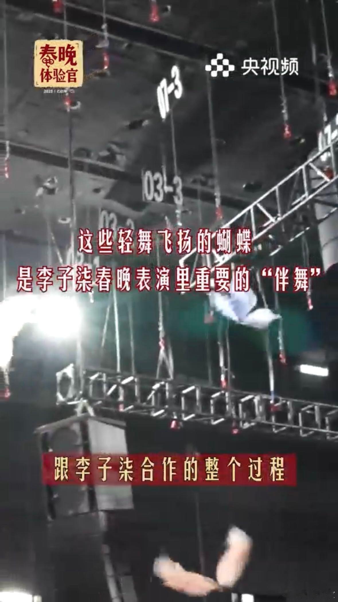 李子柒首次亮相总台春晚  李子柒上春晚，和非遗传承人一起创造服饰之美，她说想让更