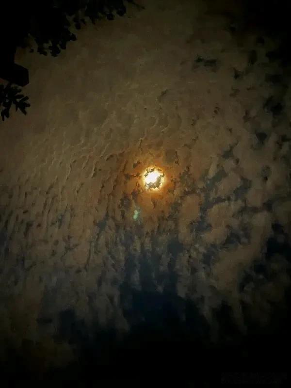 《蝶恋花·幽思》
遥月出门闲信步，乍过桥头，渐觉江湖暮。几道流星风约住，朦胧夜色