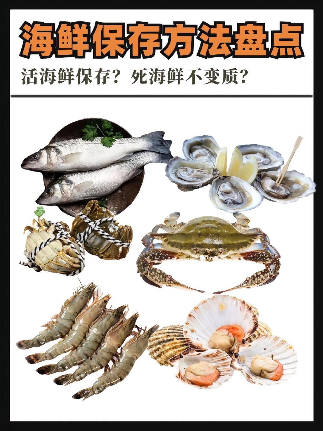 海鲜保存干货！再也不怕买多浪费啦🦐