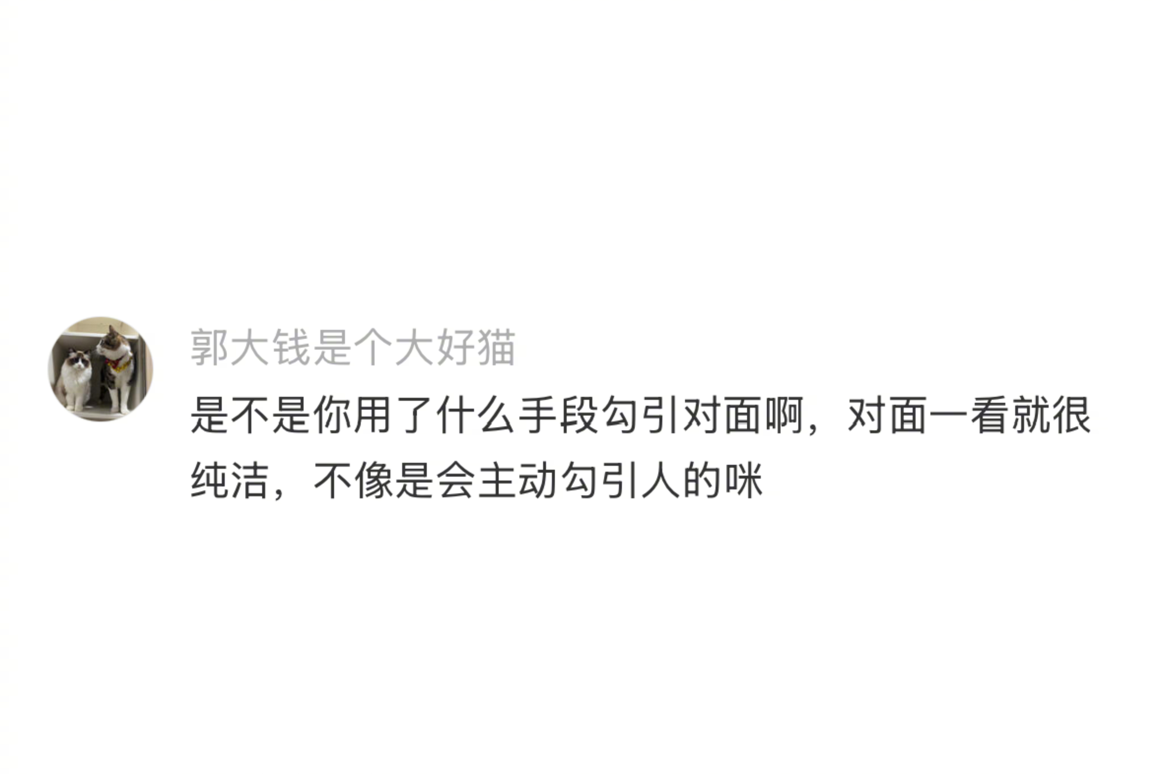 小猫就是赤裸裸的勾引！ 
