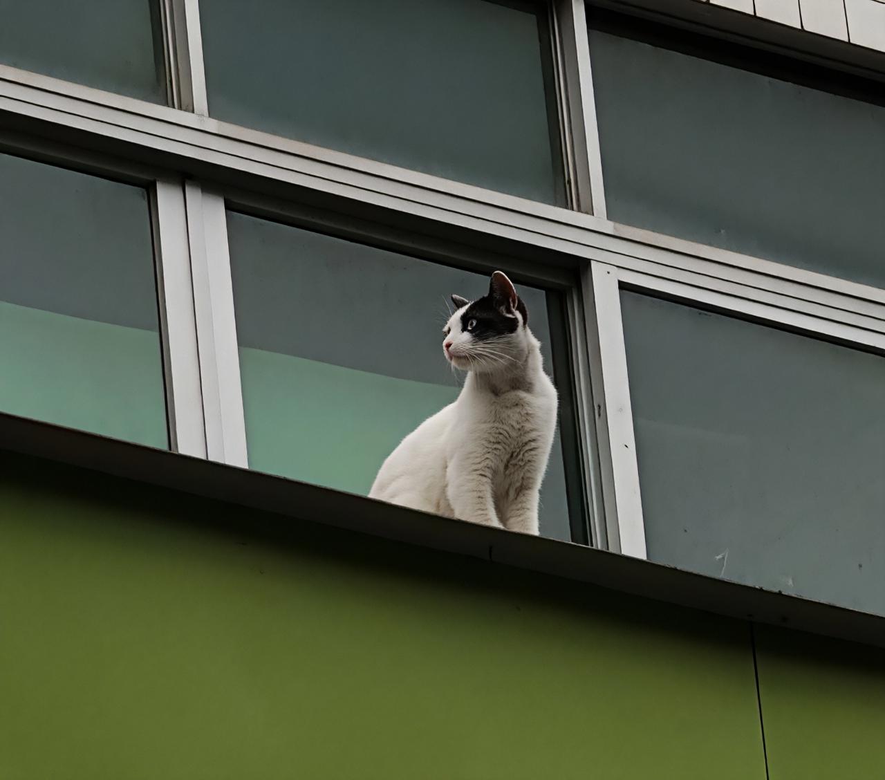 这几天是不是不能讨论敏感话题？昨天我写了一篇微头条就审核不通过了，今天我把敏感词