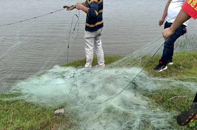 |治河渡镇：河湖治理关键在“勤”