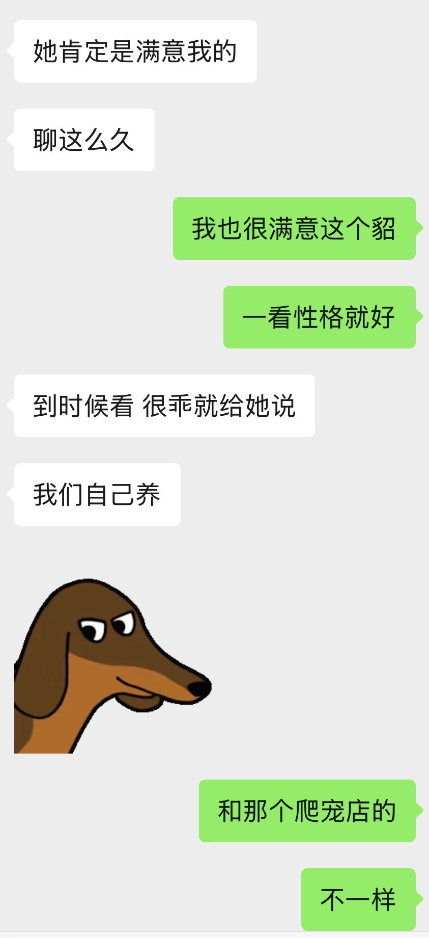 闺闺们我要成为有貂家庭了。事情起因就是小区群里有个业主发了貂说自己工作忙没空照顾