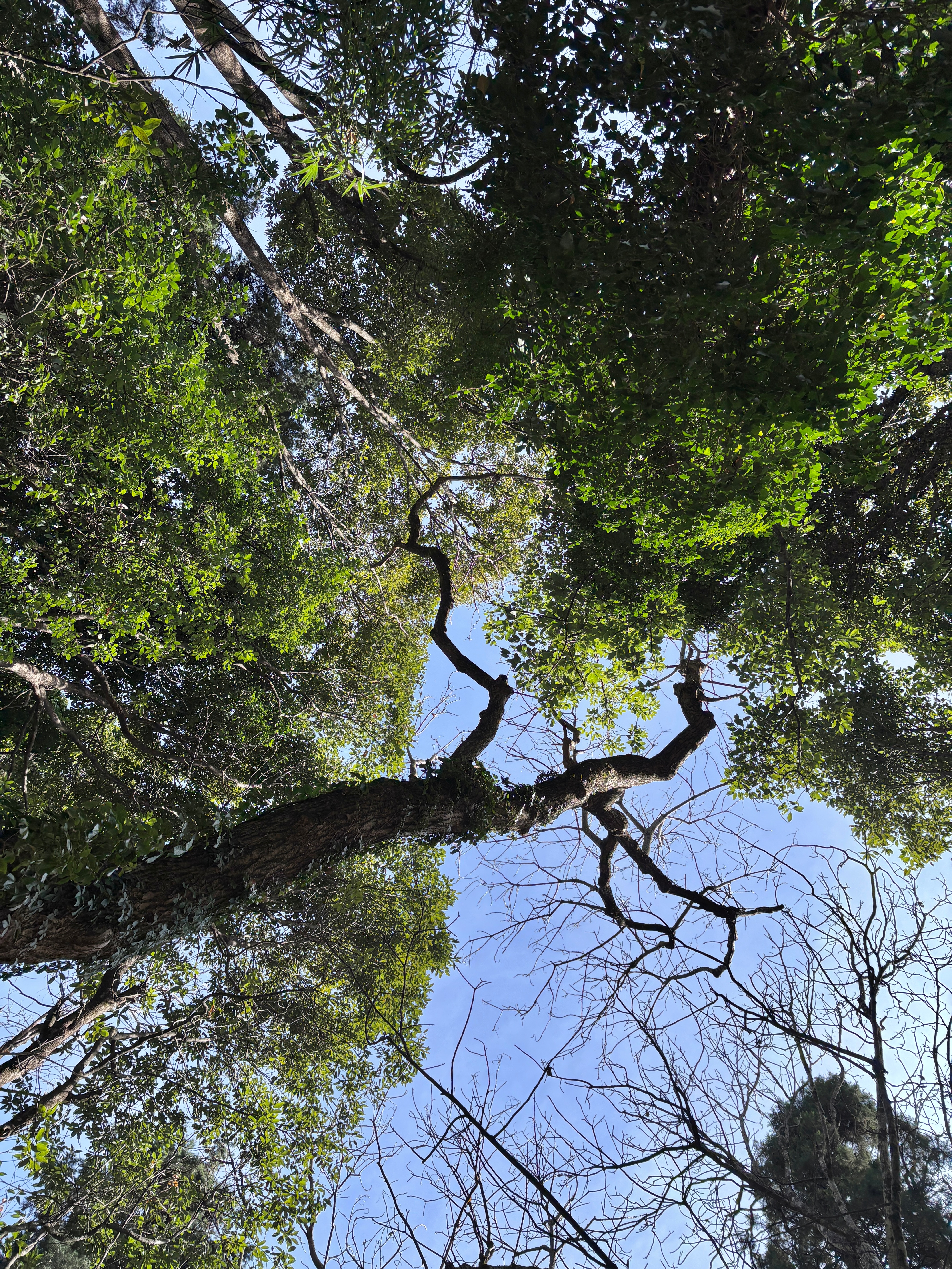 微博年度待改编ip评选pick你心中的改编潜力王 我要在你眼波中去洗我的手昨天下