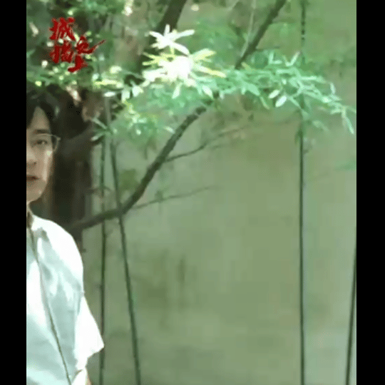 #城墙之上全员官宣##城墙之上阵容自带悬疑感# 《城墙之上》官宣令人兴奋。李光洁