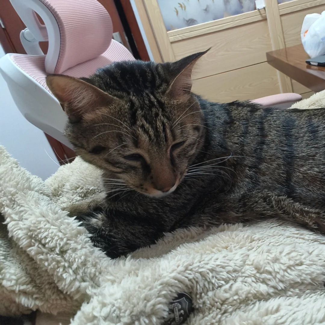 工作就是为了给家里整点米面粮油