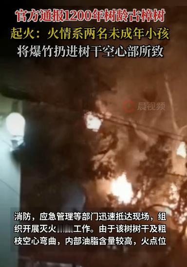 湖南永州道县祥霖铺镇的一棵千年古樟树突然起火，火势持续数小时才被扑灭，这起事件牵