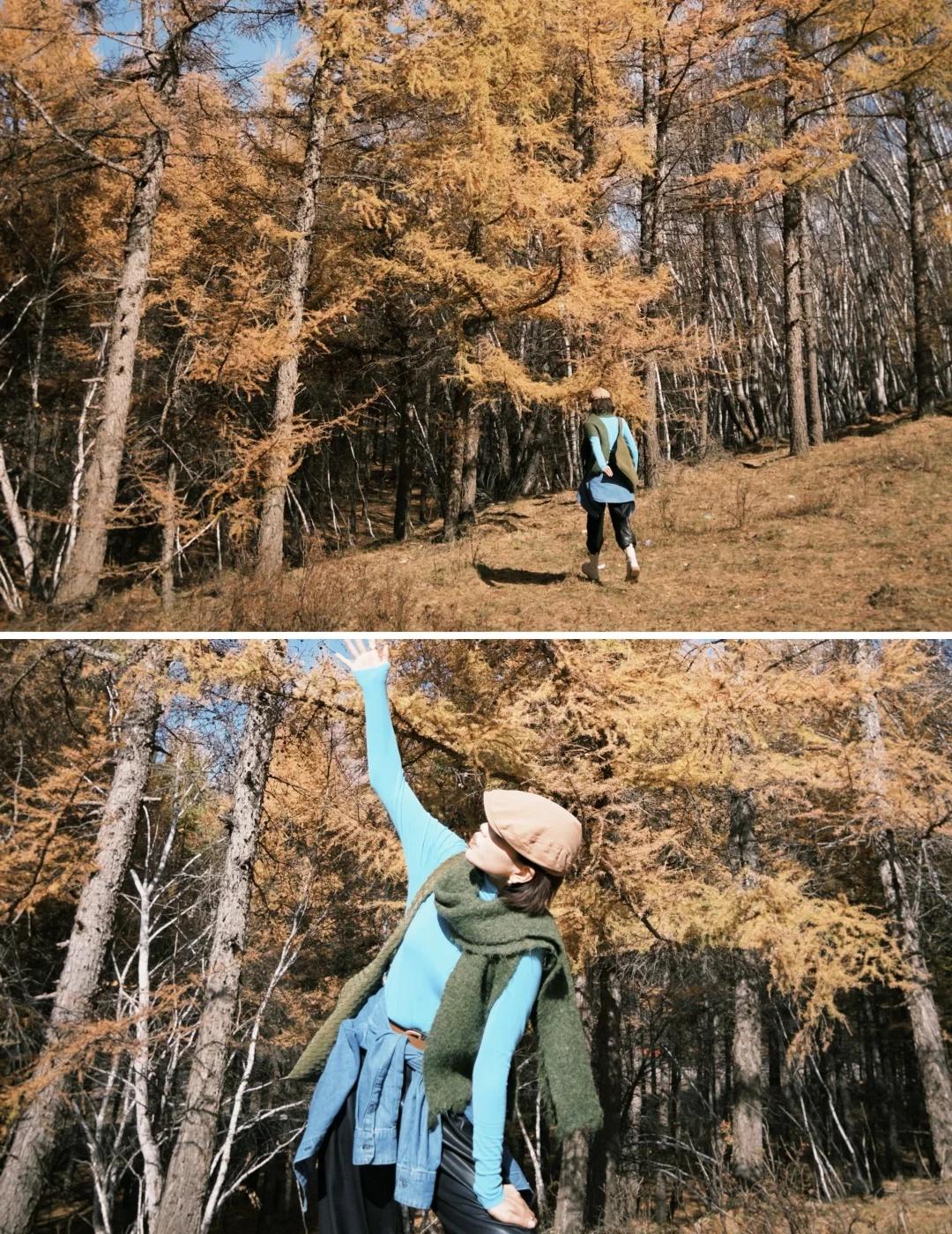 我不再内耗了，我在内蒙
国庆难得的7天假期
冒雨错峰去了趟内蒙古
张北草原——乌