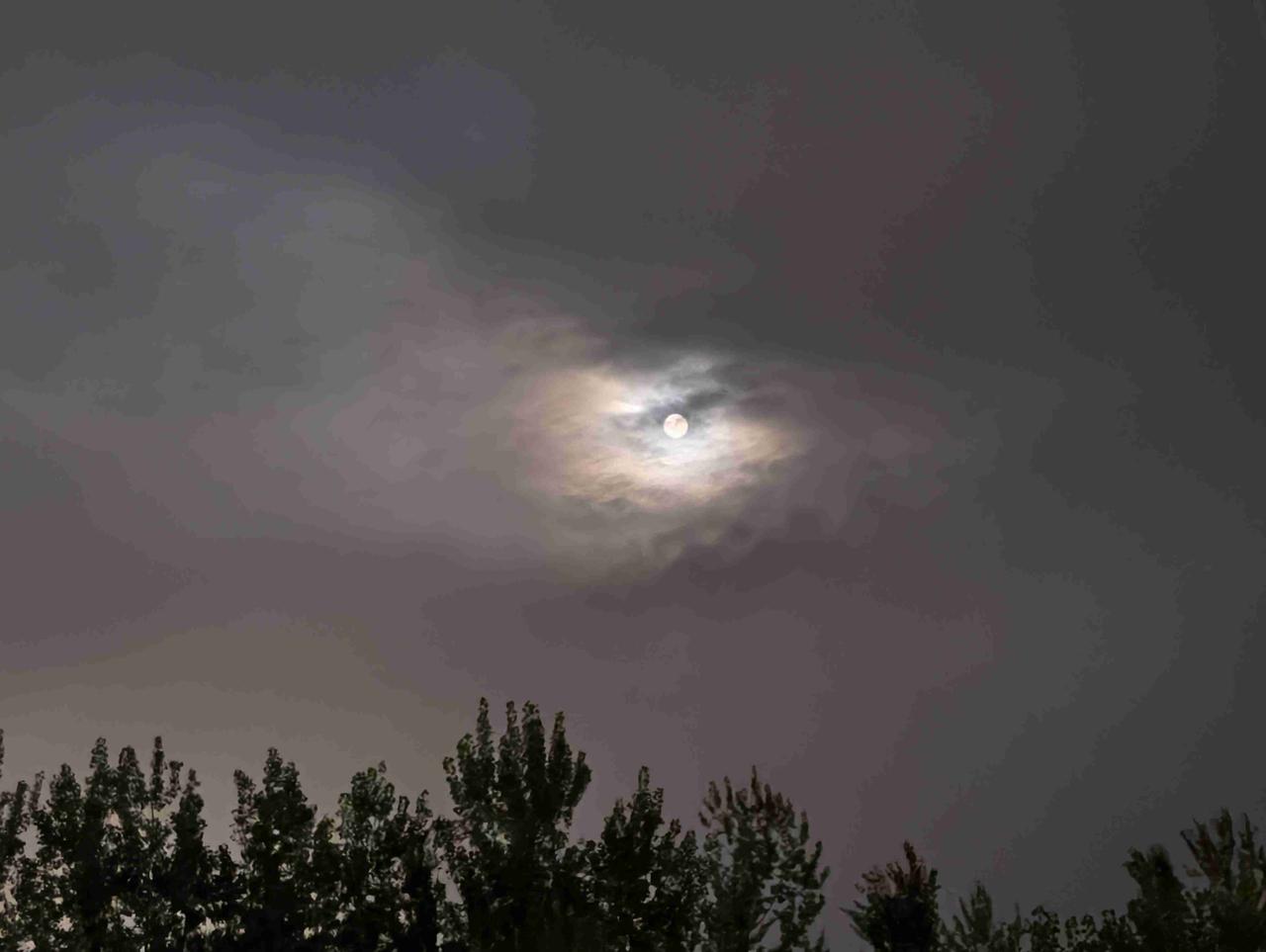 白天的雨，夜晚的凉，静静河边坐，听听蝉鸣与蛐蛐叫，再抬头看看天空中挂着的圆圆月亮