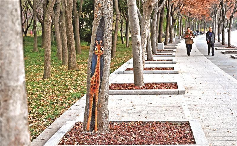 【以“养护+艺术”的创新模式为树木“疗伤”——树疤涂鸦】漫步于金匮公园、尚贤河湿