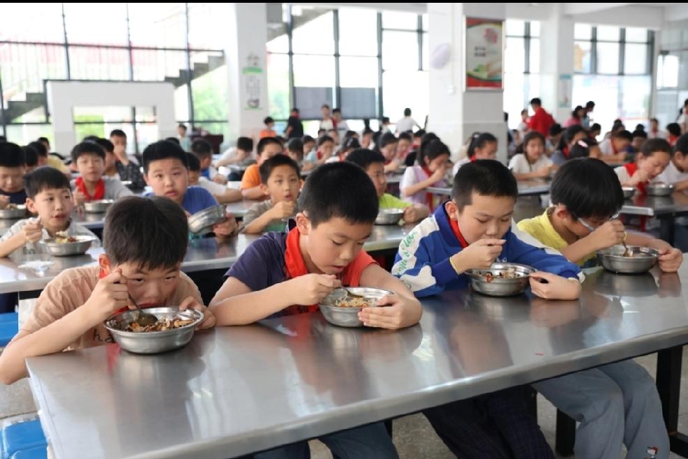 上海绿捷公司的校园餐问题简直让人愤怒！校园餐本应是保障学生健康成长的重要环节，可