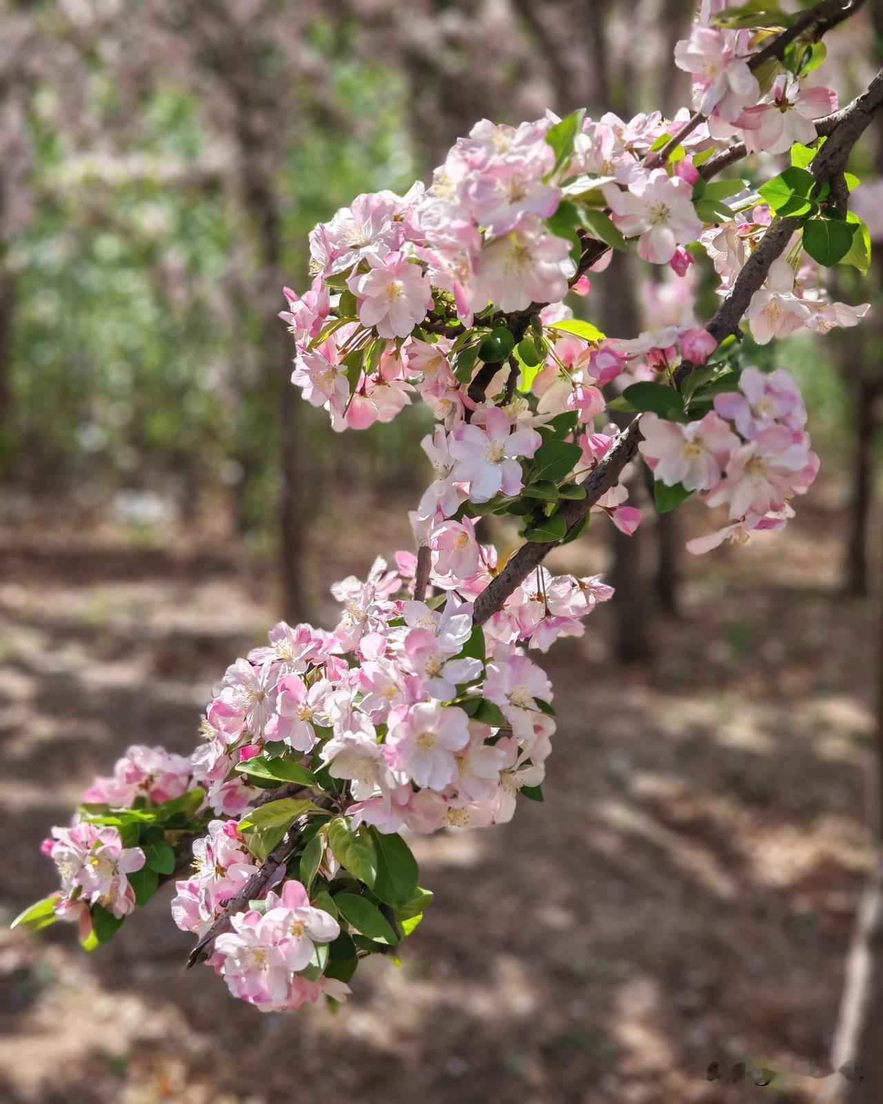人活着究竟为什么？千人千个答案

我们这里有个退休老师，一个月四五千退休金，抠的