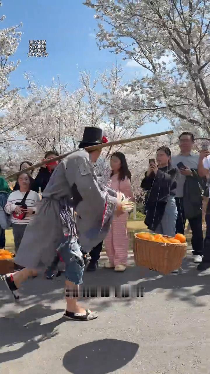 今天约妹来唱歌，贵州花儿多又多。哥哥唱来妹妹和，大洋芋楼上戳细洋芋放床脚，米拉洋