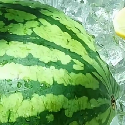 种植 西瓜种植方法1、选地整地种植西瓜，宜选择土质疏松肥沃、土层深厚、光照充足、