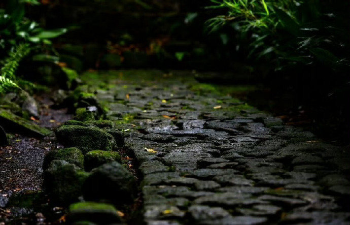 “雨后林中别样凉，意行幽径不知长。” ​ ​​​