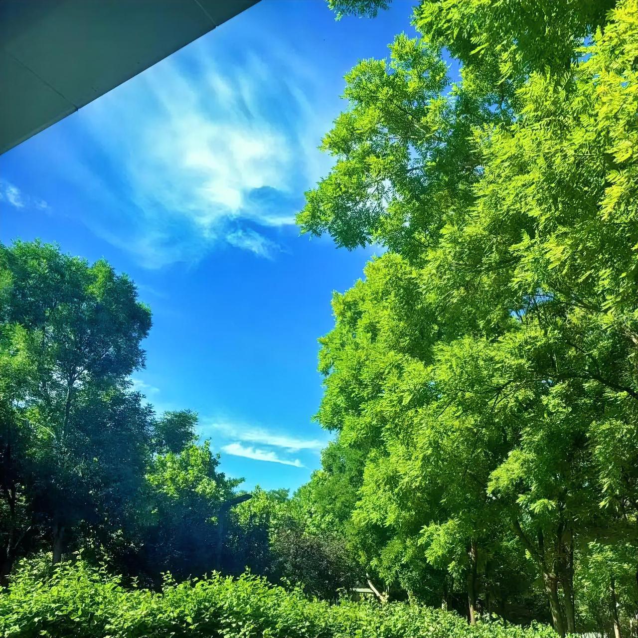 很多人做写作变现，都走进一个误区：以为日更多篇、疯狂更新，账号就值钱，收益就越高