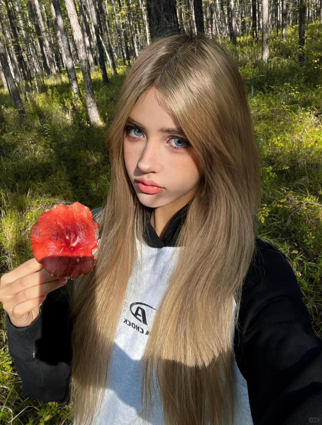 🍄‍🟫🐇🌰🌲🐿️