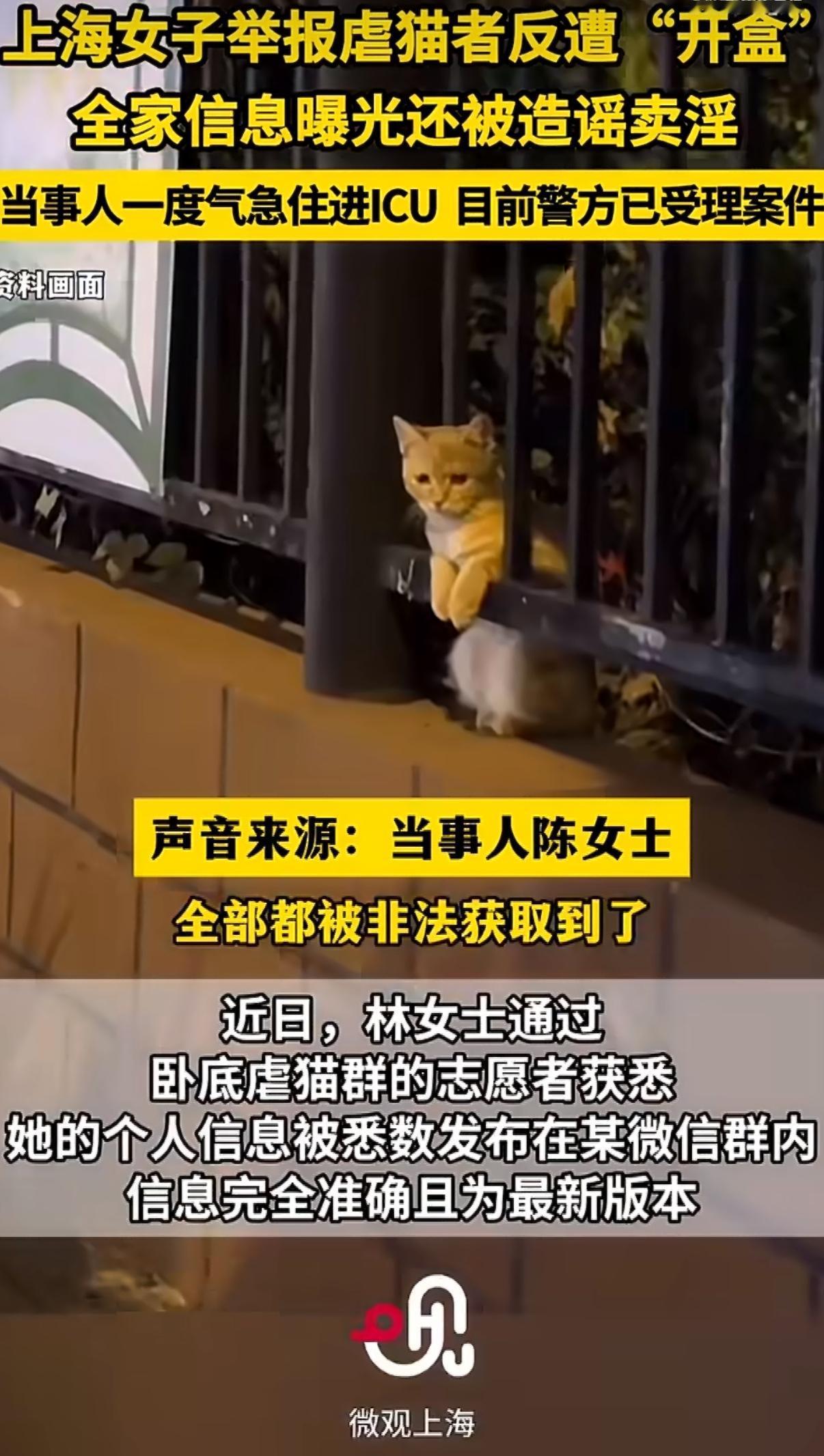 上海反虐猫志愿者“芝麻”（化名）的遭遇，让无数人又一次看清网络暴力最丑陋的嘴脸。