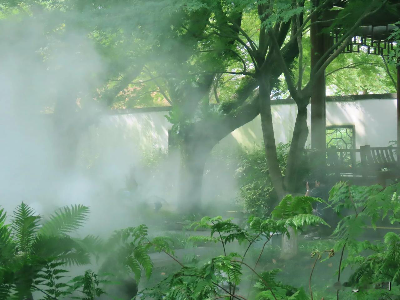 云蒸霞蔚，茶香缭绕。
宁波园林博物馆
