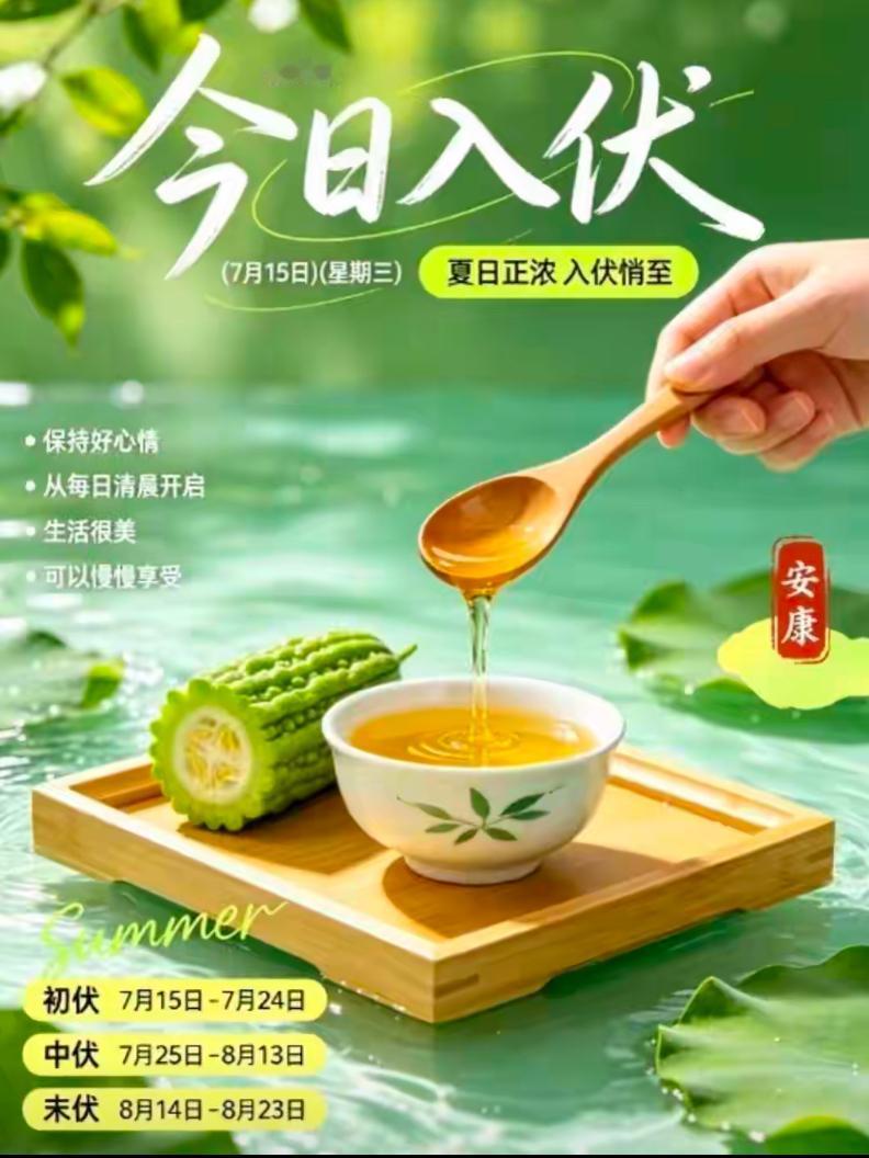 🌺2026./7月15日，入伏安康至，清茶平内热，周三邂逅头伏🌺

🌴🌅