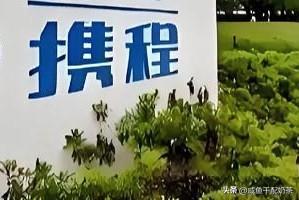 携程不得不查，而且必须查！

翻开它的股东榜就懂了，除了百度占6.67%，剩下的