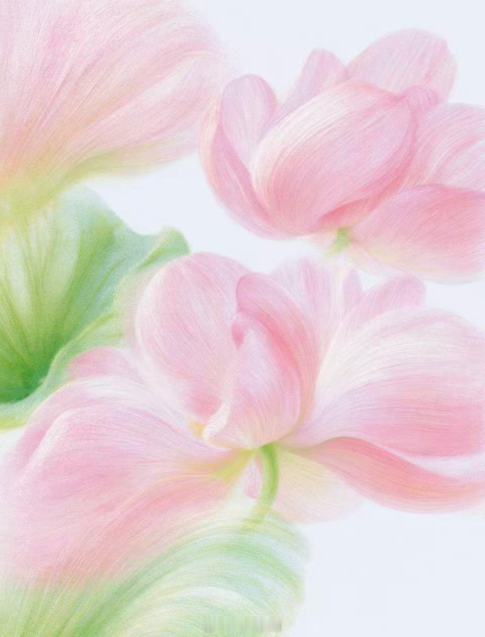“什么都不做的那个下午，不是浪费，是充电。你的灵魂也需要喘息。”记录生活轻松一刻