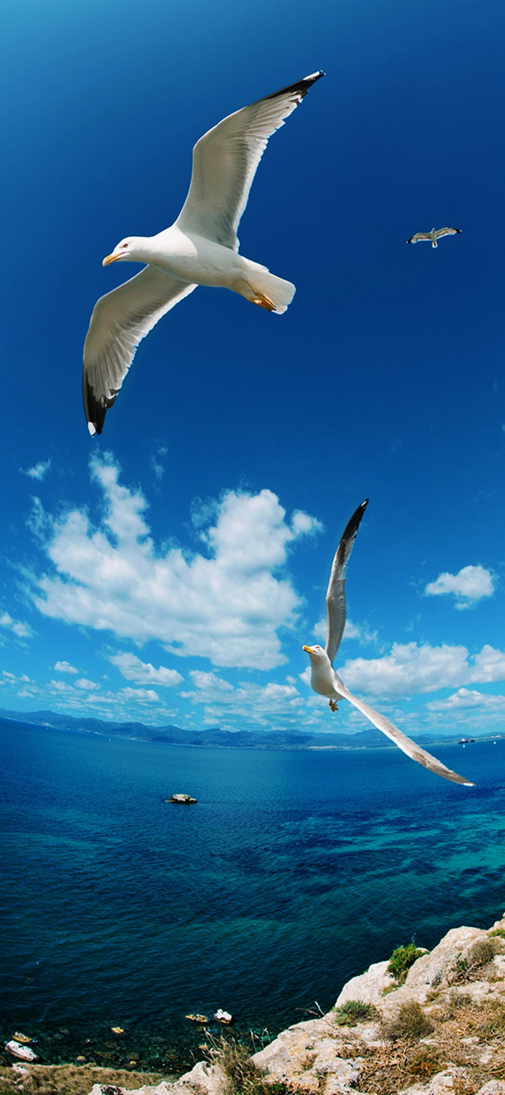 一些好看的壁纸，方寸之间，藏着满心欢喜与诗意。壁纸发现手机壁纸4k壁纸  专栏 