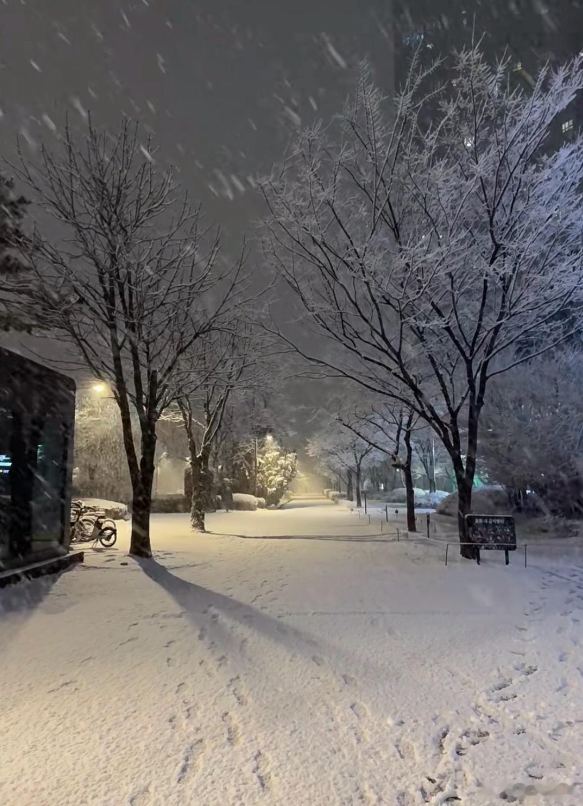 暴雪大暴雪特大暴雪来袭，我说这几天山东风怎么这么凉，大雪要来了？我感觉也就南方人
