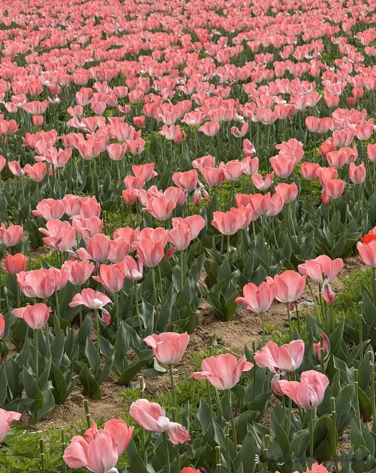 你要允许你爱的人不爱你，你要允许你的工作为难你，你要允许身后有人算计你。不允许，
