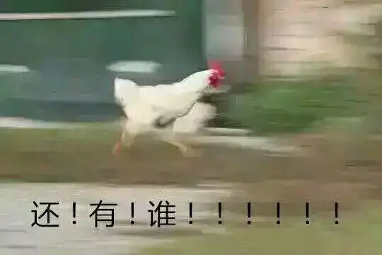 【没有这个RNA，公鸡都得死…】近日，一个国际团队在《自然》杂志上发表文章，他们