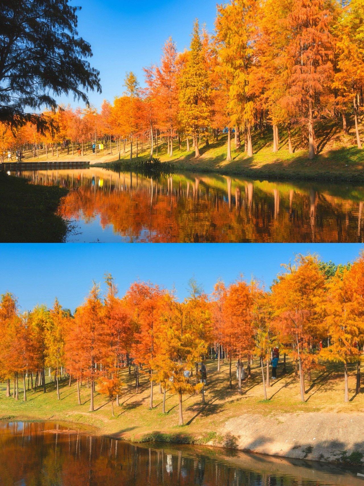 中老年人养生抓5个核心，简单好坚持，比乱吃补品管用👇
✅ 动：轻运动为主，别久