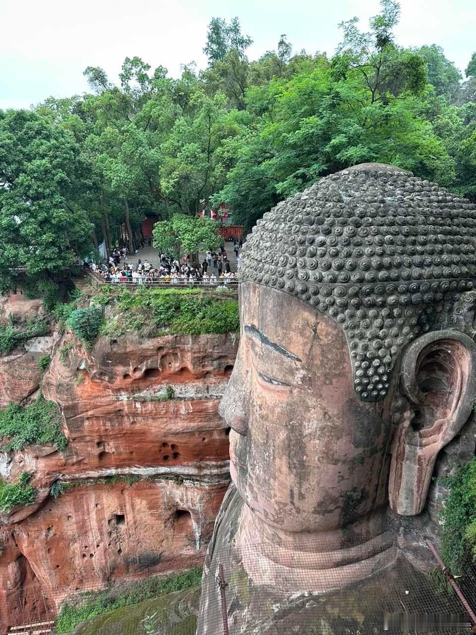 #网友为过科目二去乐山抱佛脚#但带大学生真的太会整活了吧，为了能够过科目二居然跑