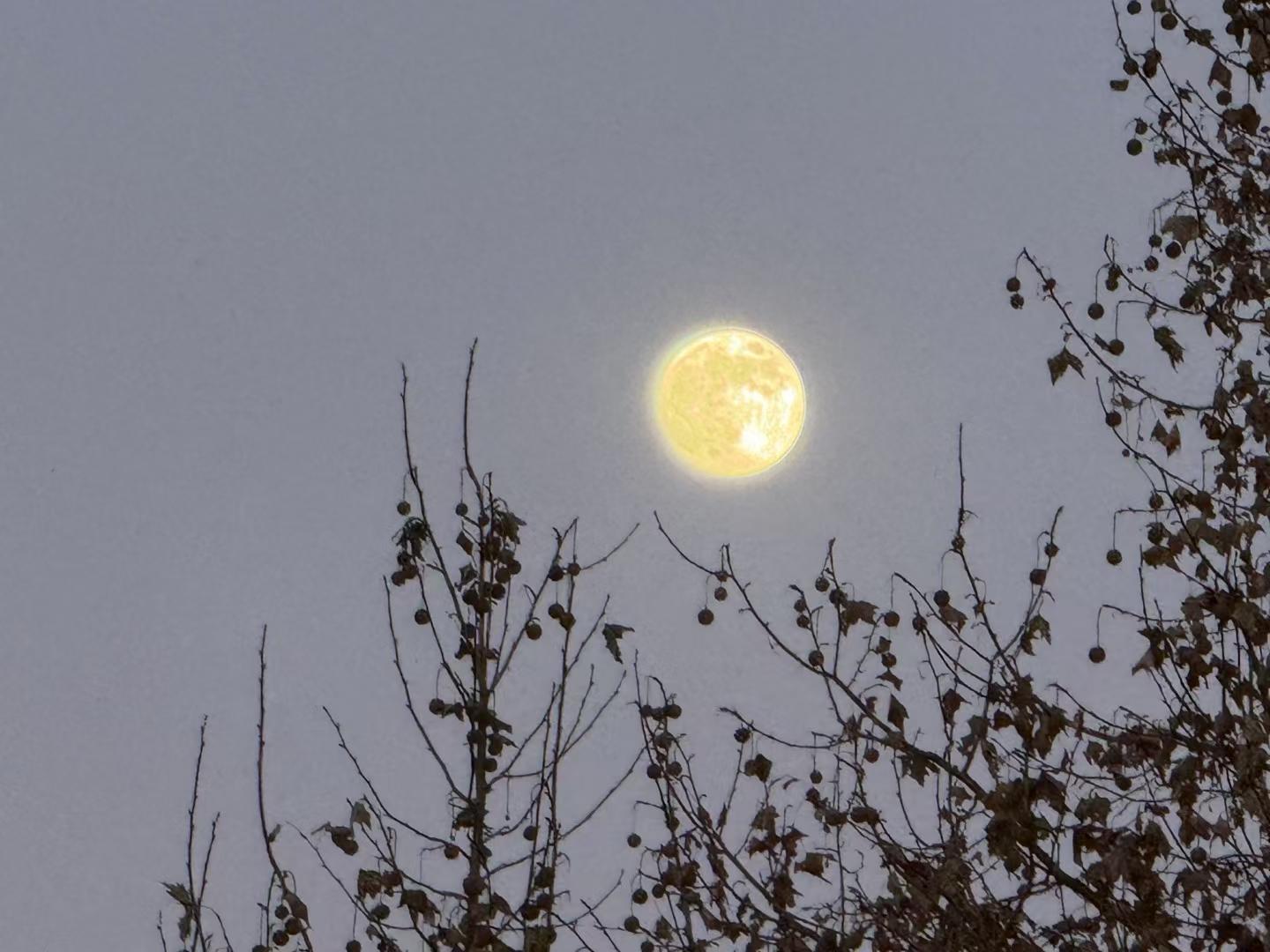 都怪我太贪心太天真想和你有结局 没看清自己
