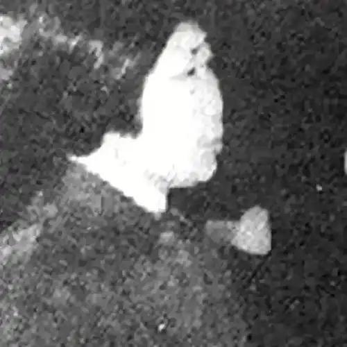 1976年10月，曾经名噪一时的风云人物王秀珍，突然在一夜之间销声匿迹，这引起过