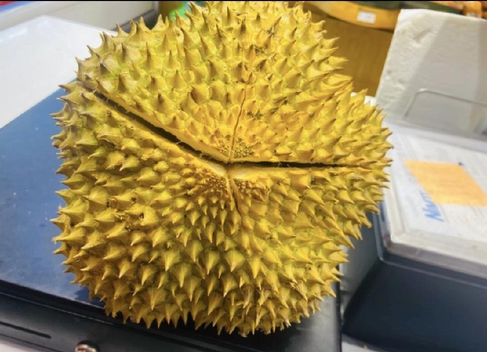 真的是服了我老公了，说了不买榴莲结果硬是要给我们买，这不，一个榴莲将近花了300