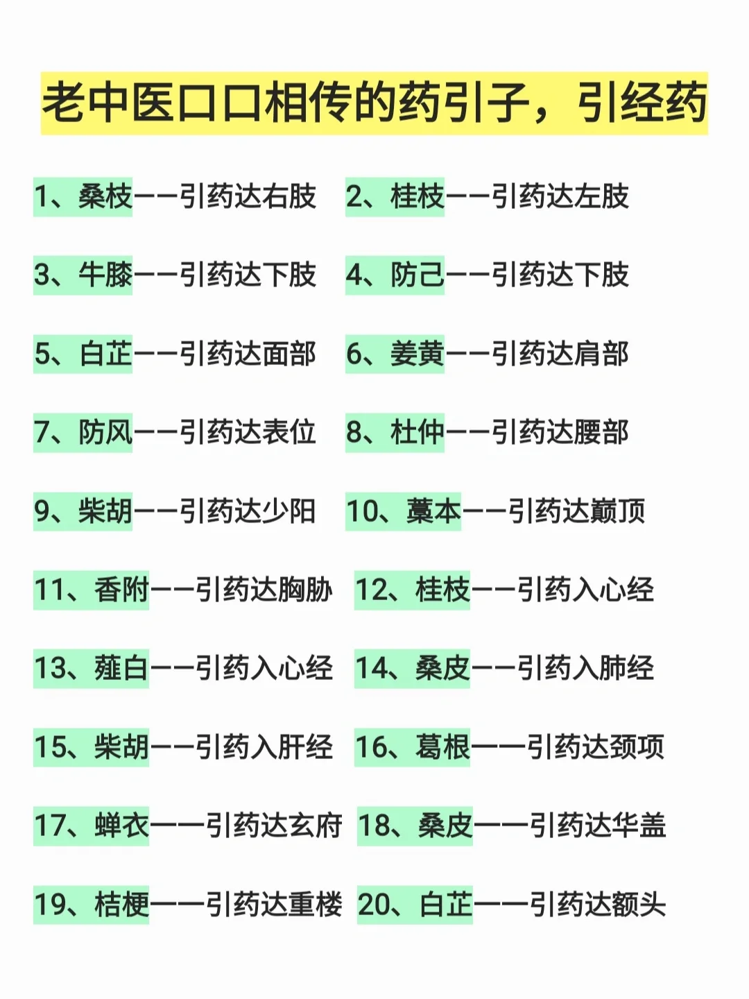 老中医口口相传的药引子，人体12经络引经药