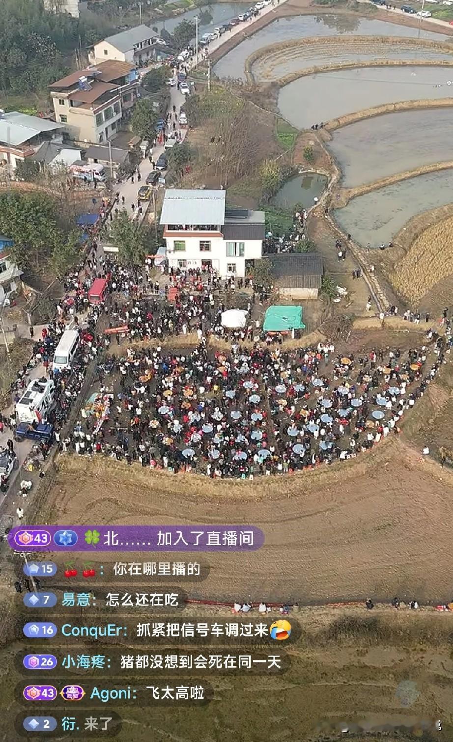 呆呆妹一个人带火了一条村!
重庆合川庆福村彻底被呆呆妹的杀猪饭带火了！这个原本安