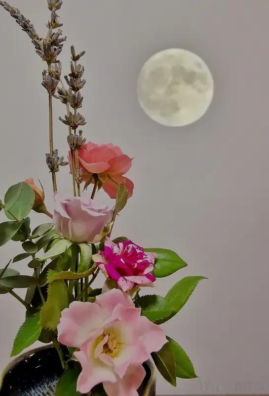 上联：月色含香诗里驻，安子邀对，，柳烟带媚画中浮！[烟花]