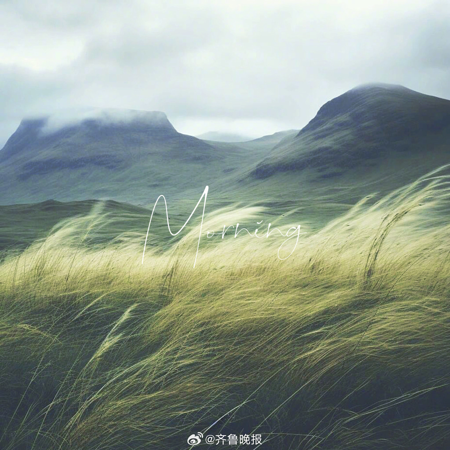 不必追赶风口你本身就是一阵微风#早安#