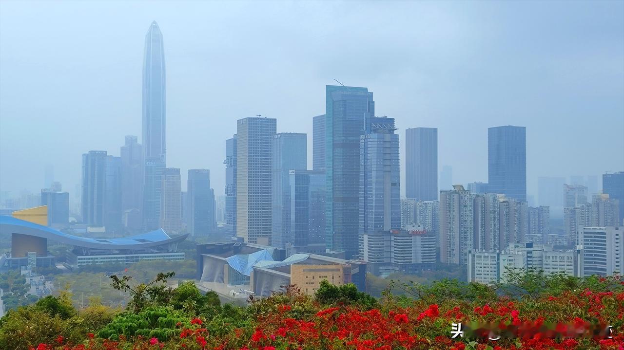 改革开放的先行者，从小渔村到国际超大城市，只有了三四十年，这就是中国奇迹！其它任