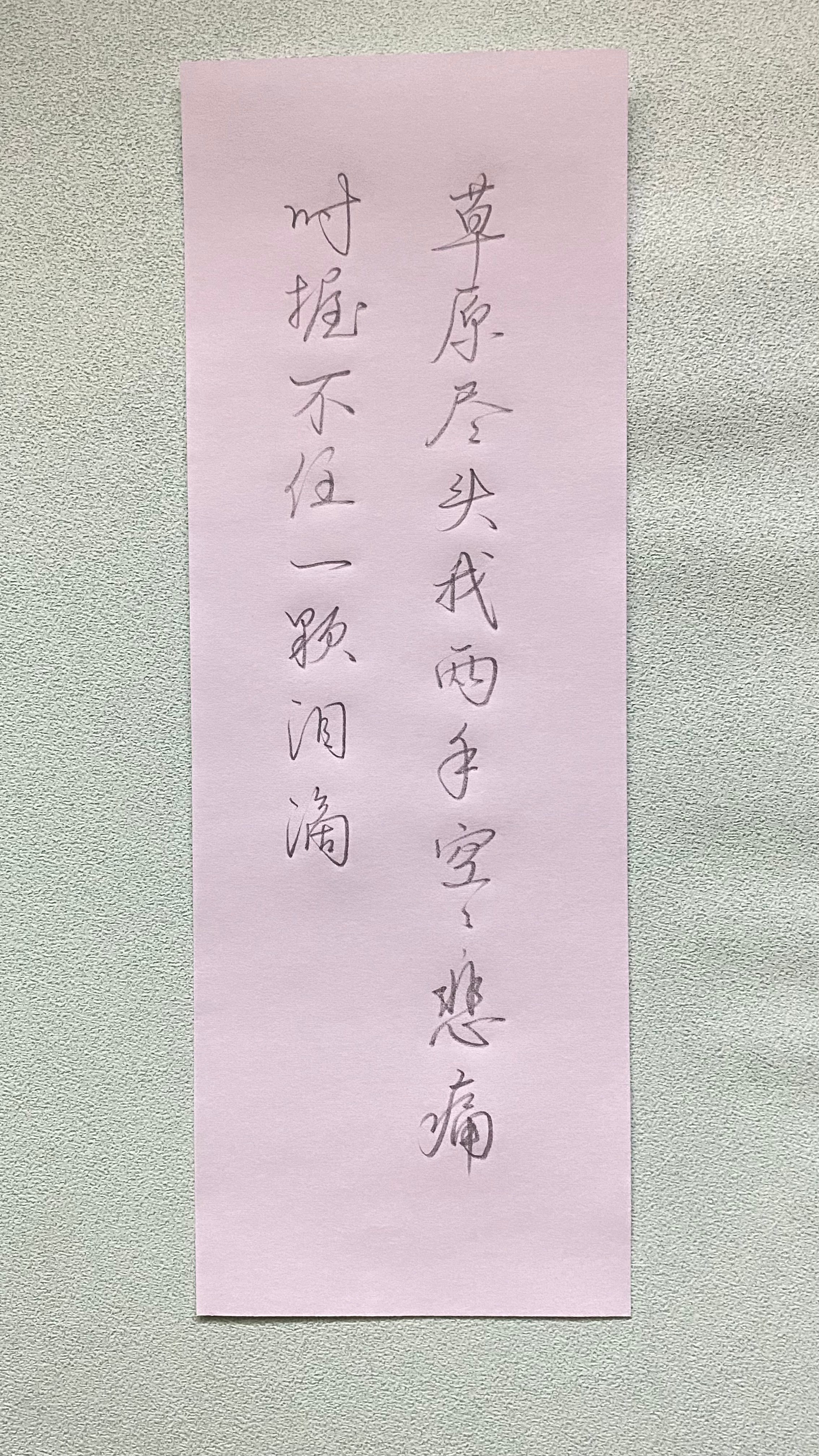 今日作业（2025.3.13）草原尽头我两手空空，悲痛时握不住一颗泪滴。—海子《