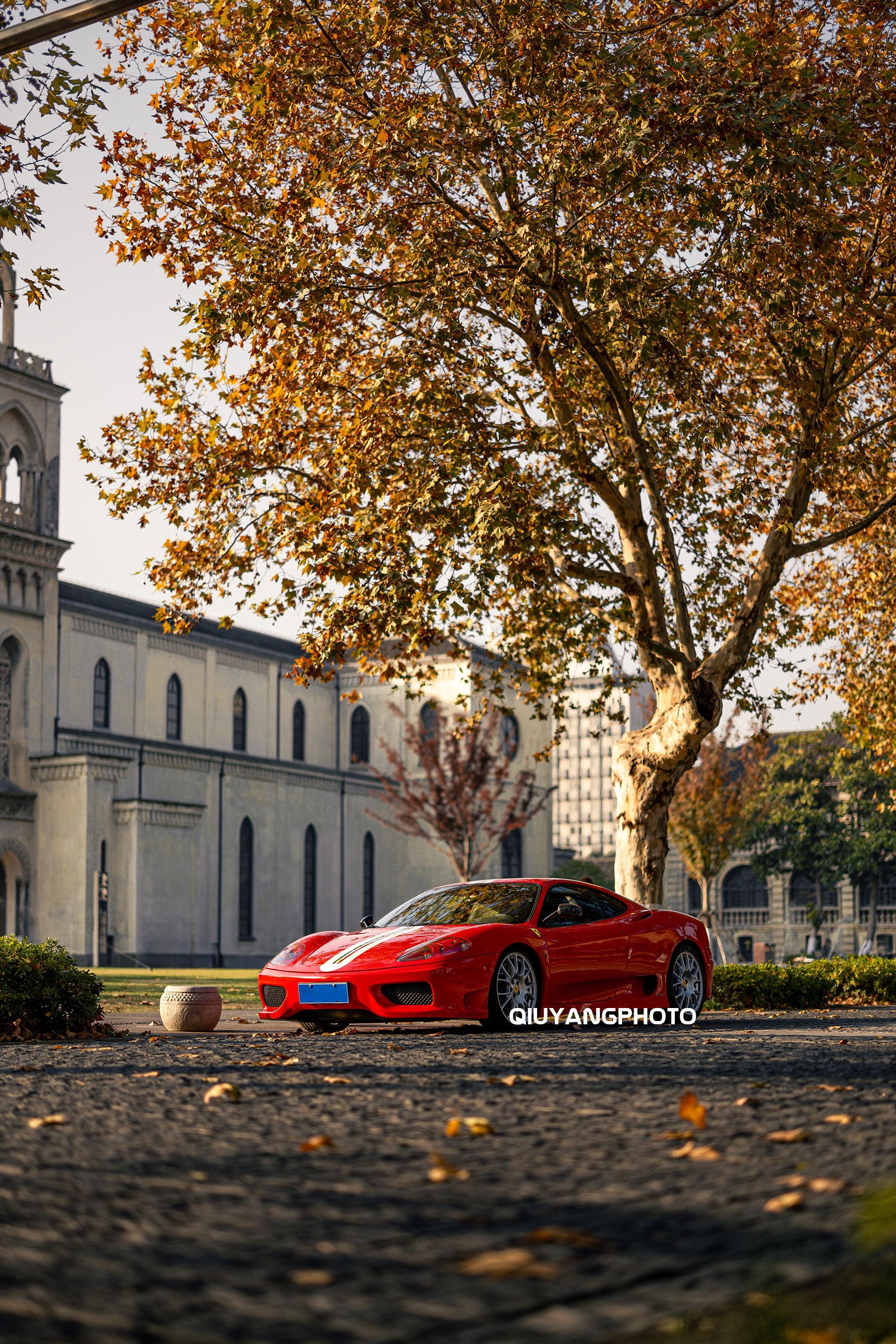 Ferrari 360 CS #cars01豪车拍# 整备的太正了，在秋天梧桐里