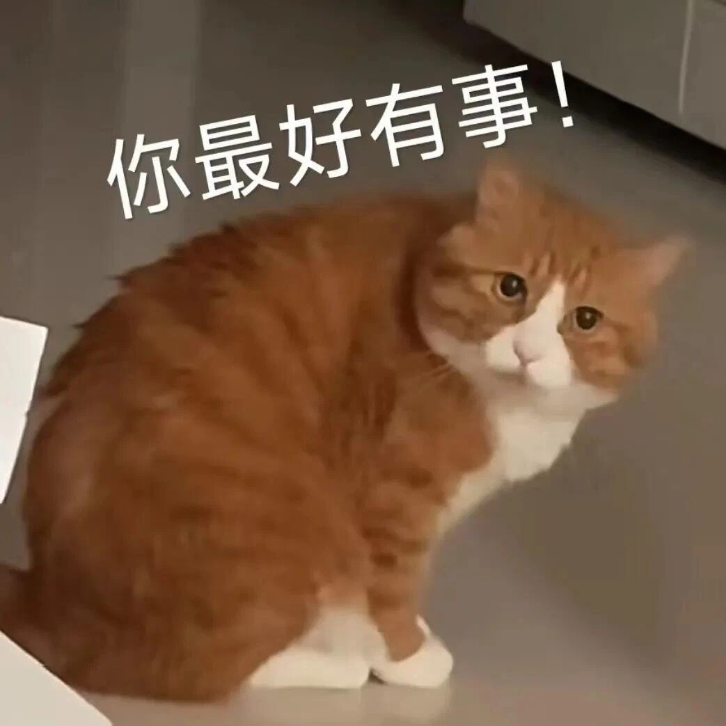 天生叛逆不走寻常路的小猫咪 