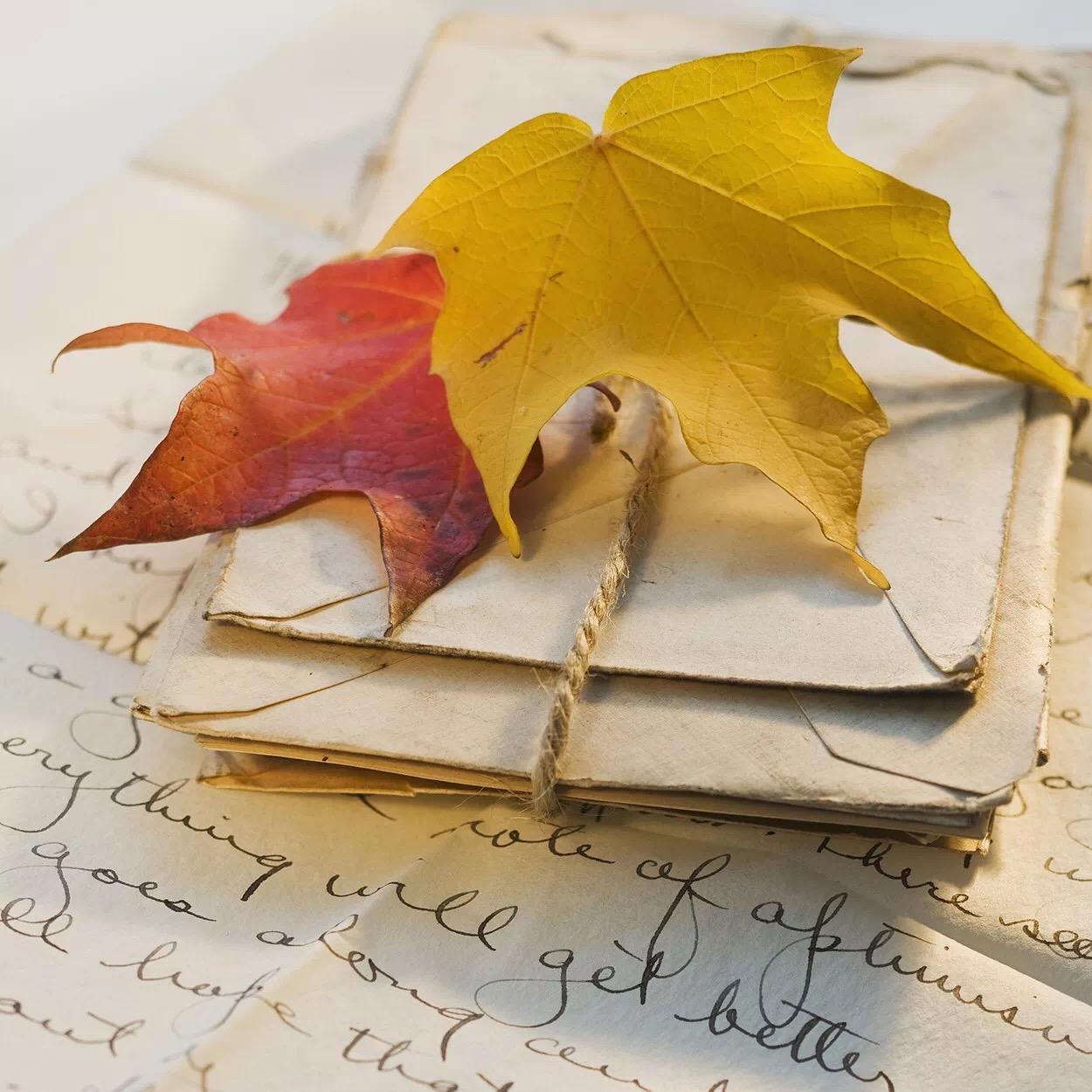 今日风格：可爱风唯美~
壁纸|头像|背景图壁纸