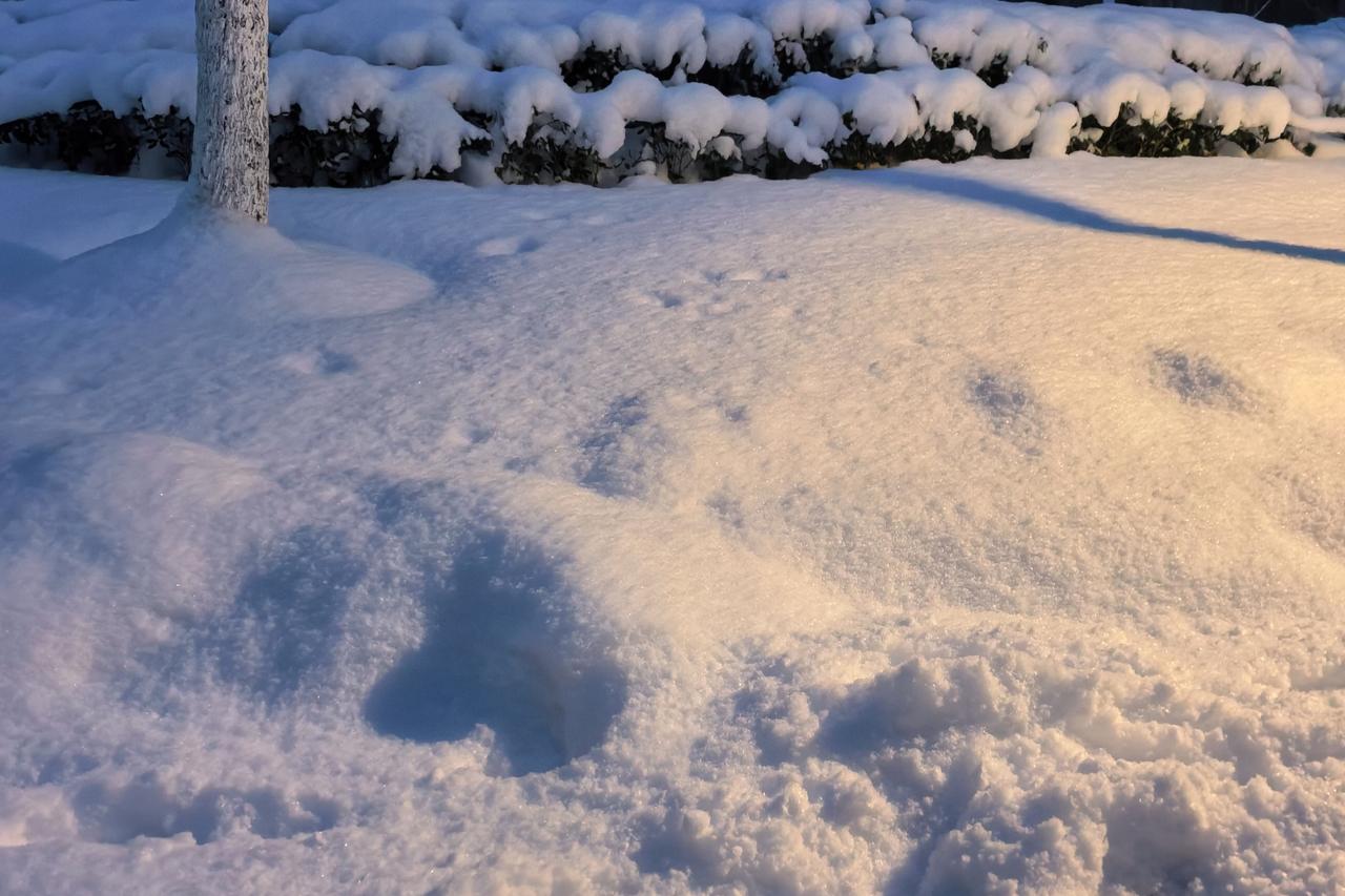 不下雪，总感觉这冬天过得不像冬天。雪花飘落，大地银装素裹，冬天的味道才浓烈起来。