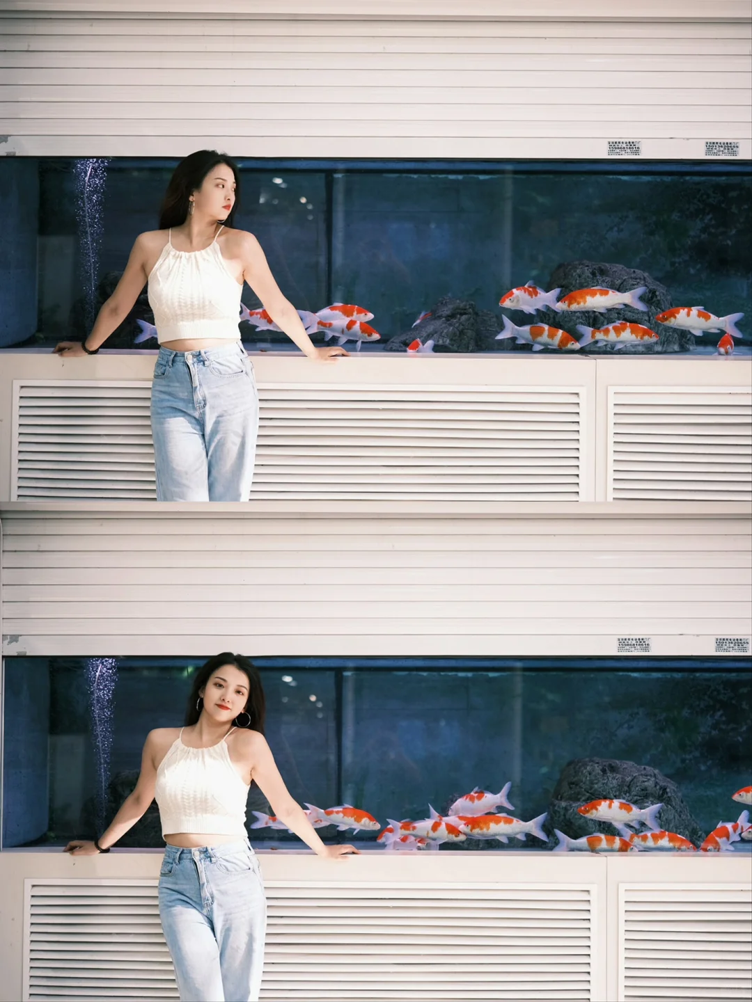 深圳周末不知道干嘛就去逛花鸟市场吧🐠