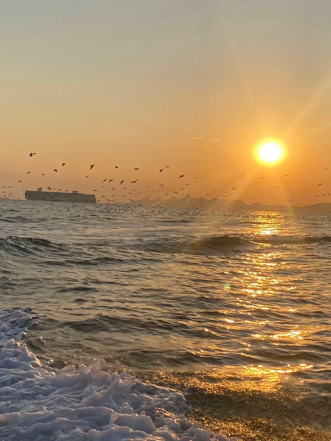 我这半辈子，没有什么优越感。光是让自己活下去，做一个正常的人，不趋炎，不附势，不