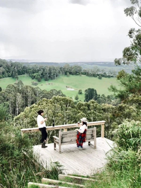 澳洲旅行｜维多利亚半山腰享受精致田园时光